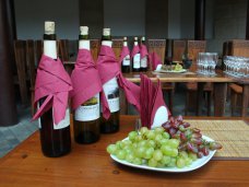 На фестивале «WineFeoFest» представили более 200 сортов вина WineFeoFest, На фестивале «WineFeoFest» представили более 200 сортов вина