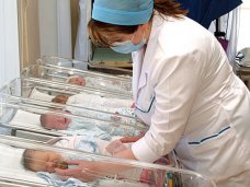 Рождаемость, В Симферополе зафиксировали рост рождаемости