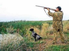Охота, За нарушение правил охоты в Крыму оштрафованы 95 человек