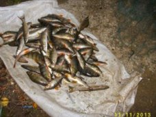 Браконьерство, Браконьеры в Крыму наловили рыбы на 13 тыс. грн. 