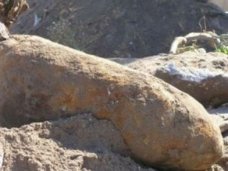 Боеприпасы, Обнаруженную в Севастополе бомбу уничтожат на полигоне