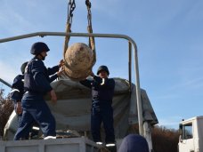 Боеприпасы, В Севастополе уничтожили немецкую авиационную бомбу