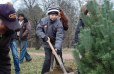 макулатура, В ботаническом саду в Симферополе посадили деревья