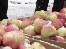 Ярмарка, В Симферополе пройдет предновогодняя ярмарка