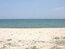 У арендатора-должника забрали 3 га пляжа на Азовском море Земля, У арендатора-должника забрали 3 га пляжа на Азовском море