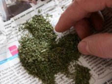 Наркотики, Крымчанин пытался выдать коноплю за лечебные травы