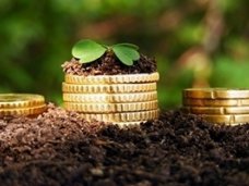 За год агропромышленный комплекс Крыма принес в бюджет 25% средств Бюджет, За год агропромышленный комплекс Крыма принес в бюджет 25% средств