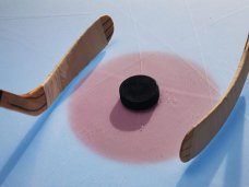 Хоккей, В Симферополе проведут хоккейный матч