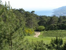 В Крыму установили границы 49 объектов природно-заповедного фонда