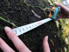 Предпринимателю запретили застраивать 6 га земли в Алупке Земля, Предпринимателю запретили застраивать 6 га земли в Алупке