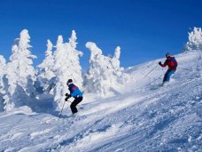 На Ай-Петри травмировались две лыжницы Происшествие, На Ай-Петри травмировались две лыжницы
