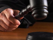 Суд отменил выделение 10 га леса под Алуштой под застройку Земля, Суд отменил выделение 10 га леса под Алуштой под застройку