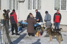 Благотворительность, В Феодосии начали раздавать бесплатные обеды