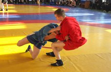 Федерация дзюдо и самбо Крыма, В Симферополе прошел чемпионат по самбо