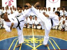 В Алуште разыграют кубок по каратэ В Алуште разыграют кубок по каратэ