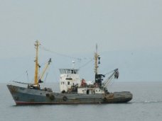 Рыболовецкие сейнеры уничтожают фауну у берегов Алушты,  – городской голова