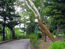 Участок земли в парке «Карасан» в Алуште вернули государству Участок земли в парке «Карасан» в Алуште вернули государству