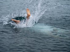 В Севастополе устроили массовое купание в море