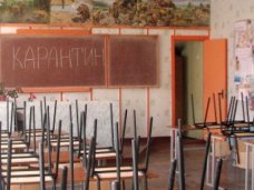 В школах Севастополя продлили карантин 