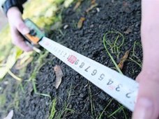 В Симферополе проведут полную инвентаризацию земель В Симферополе проведут полную инвентаризацию земель