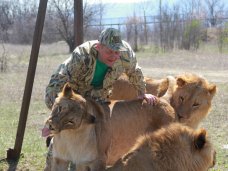 В сафари-парке «Тайган» отпраздновали воссоединение Крыма с Россией В сафари-парке «Тайган» отпраздновали воссоединение Крыма с Россией