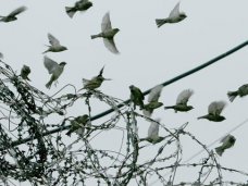 В Крыму изменили порядок помилования