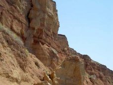 В Керчи мужчина погиб при падении с обрыва В Керчи мужчина погиб при падении с обрыва