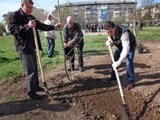 В районе Пневматики в Симферополе проведут субботник