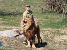 «UniCredit Bank» заблокировал счета крымского зоопарка «Сказка» и парка львов «Тайган»