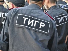 Полк внутренних войск «Тигры» останется в Феодосии