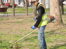 В Симферополе начался покос травостоя