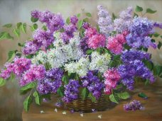 В Алуште пройдет выставка «Сирени цвет благоуханный»