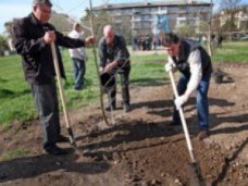 В Керчи проведут общегородской субботник