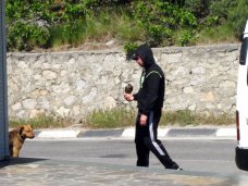 В Крыму активизировались фотографы-живодеры В Крыму активизировались фотографы-живодеры