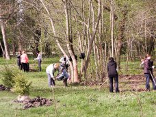 В Симферополе проведут субботник 