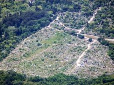 Жители Ялты жалуются на поборы на городском кладбище 