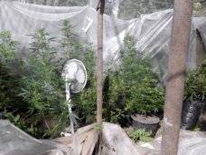 В Кировском районе выявили шесть фактов незаконного оборота наркотиков В Кировском районе выявили шесть фактов незаконного оборота наркотиков