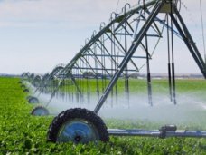 На орошение в Крыму подается около 10% от необходимого объема воды