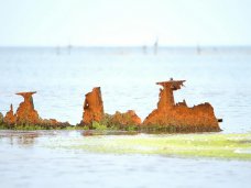 Вандалы отпилили часть затонувшего корабля-памятника в море у берегов Феодосии