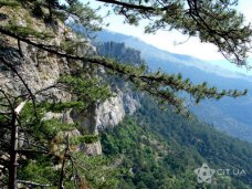 Ялтинскому заповеднику возвращен незаконно отобранный участок земли Ялтинскому заповеднику возвращен незаконно отобранный участок земли