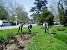 В Феодосии пройдет субботник