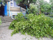 Штормовой ветер в Алуште повалил деревья и снес крыши домов 