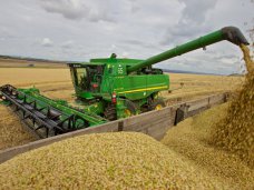 Белгород окажет помощь Кировскому району в уборке урожая Белгород окажет помощь Кировскому району в уборке урожая