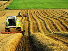 В Минсельхозе Крыма создадут управление по развитию сельских территорий