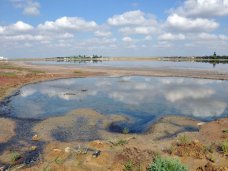 Экологи оценили ущерб от строительства дамбы на озере под Феодосией в 3 млн. рублей