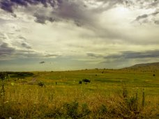 В Крыму не стоит спешить с продажей земли сельхозназначения, – вице-премьер