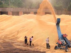 В Красноперекопском районе на зернотоке погиб ребенок В Красноперекопском районе на зернотоке погиб ребенок