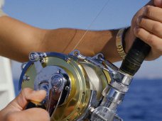 В Алуште посоревнуются в ловле рыбы В Алуште посоревнуются в ловле рыбы