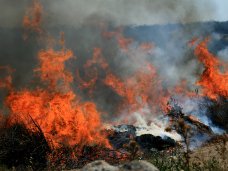 В Севастополе прошли учения по тушению лесного пожара