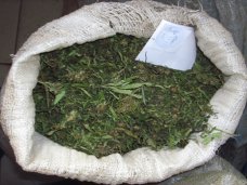 В Севастополе задержали местного жителя с килограммом марихуаны В Севастополе задержали местного жителя с килограммом марихуаны